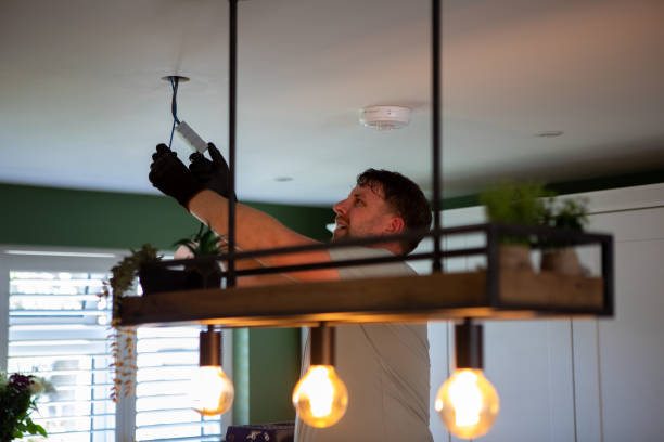 Best Home Electrical Repair  in Greensboro, AL